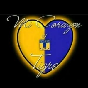 Meet your Posher, Sylvia